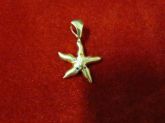 PI56 - Pingente Estrela do Mar